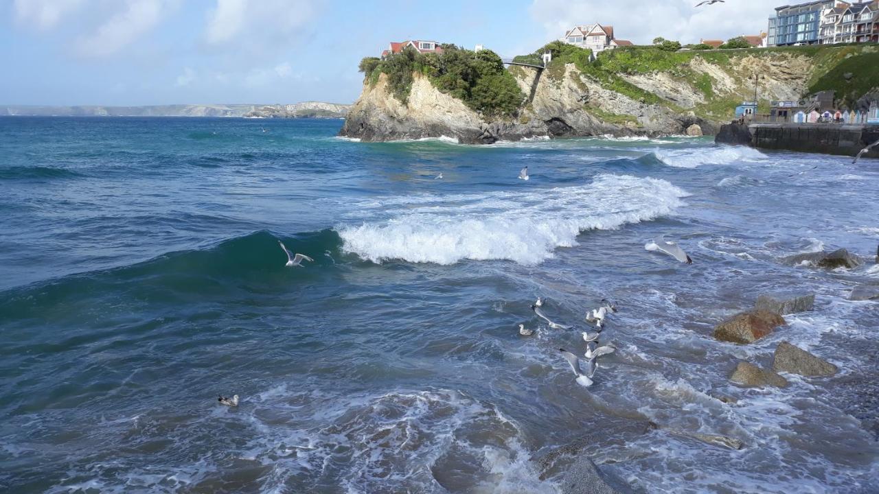 Blue Room Hostel Newquay New Quay Екстериор снимка