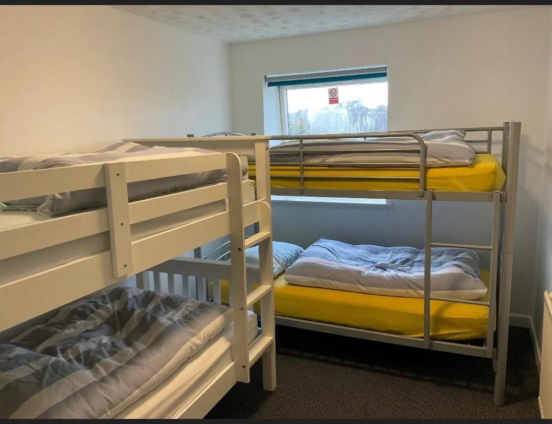Blue Room Hostel Newquay New Quay Екстериор снимка