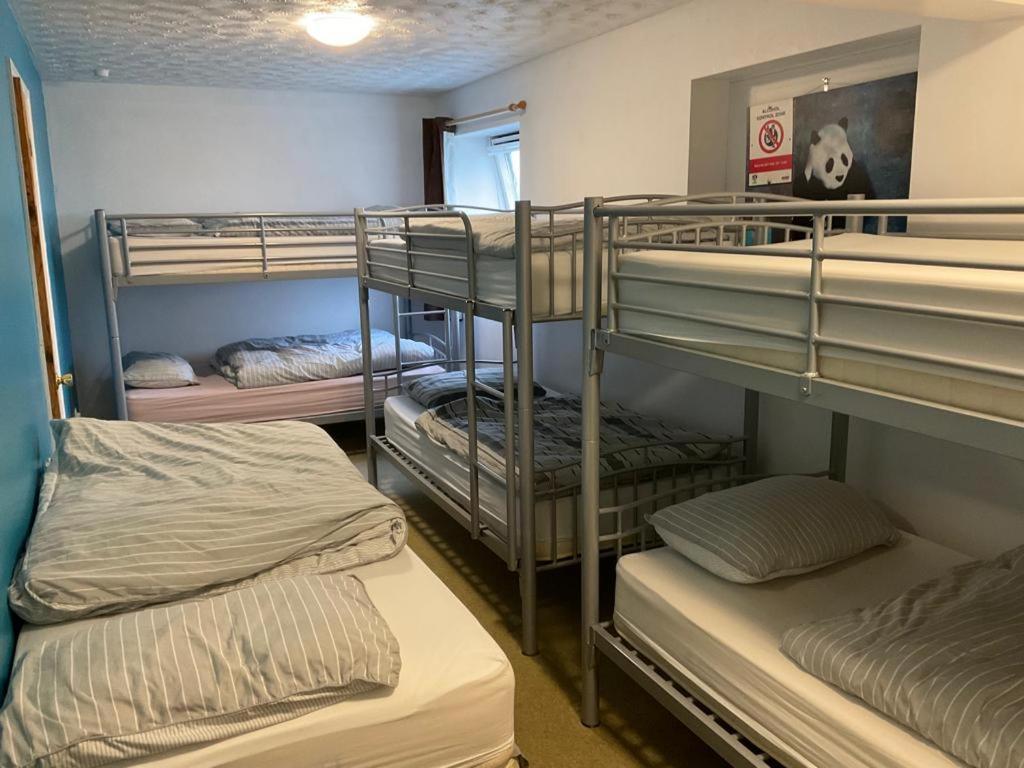 Blue Room Hostel Newquay New Quay Екстериор снимка