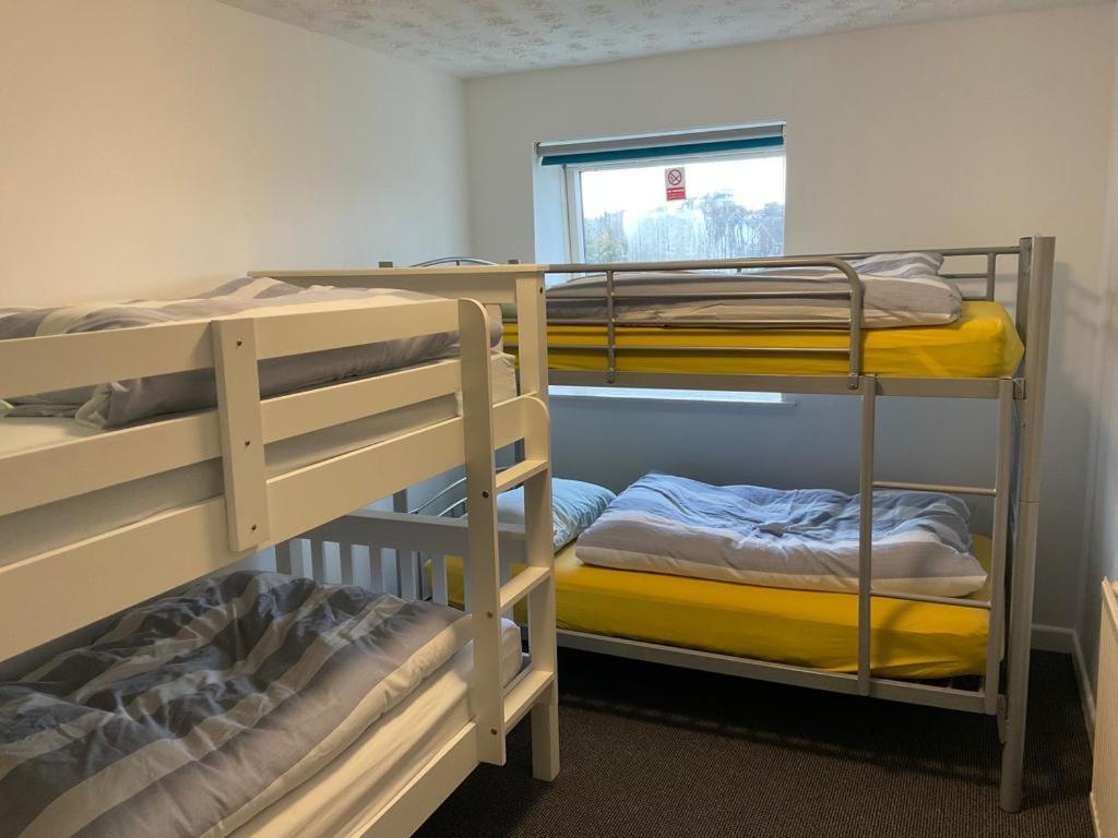 Blue Room Hostel Newquay New Quay Екстериор снимка